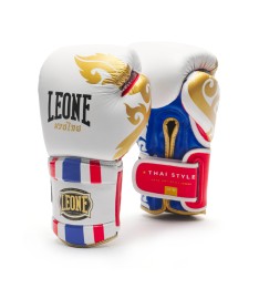 Boxe - copy of Guantoni Leone DNA GN220