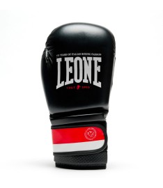 Boxe - copy of Guantoni Leone Flag GN212