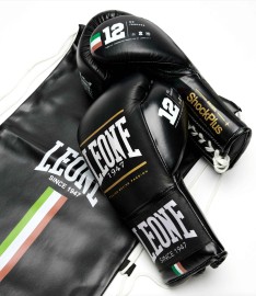 Boxe - copy of Guantoni Leone Legionarivs GN202