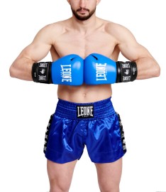 Boxe - Guantoni Leone Ambassador Blu GN207